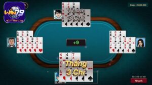 Binh xập xám có 3 chi 