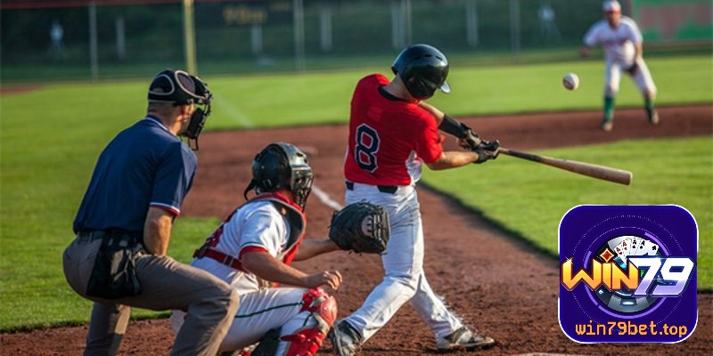 Chi tiết luật chơi cá cược bóng chày&nbsp;