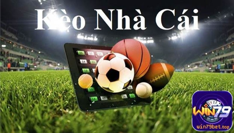 Chuyên gia nhà cái sẽ phân tích dữ liệu liên quan đến trận đấu trước khi ra kèo