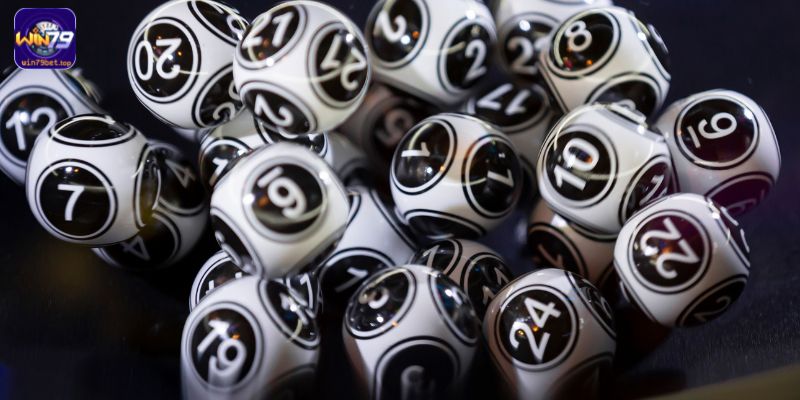 Nhiều con lô được chuyên gia thống kê với tỷ lệ xuất hiện cao